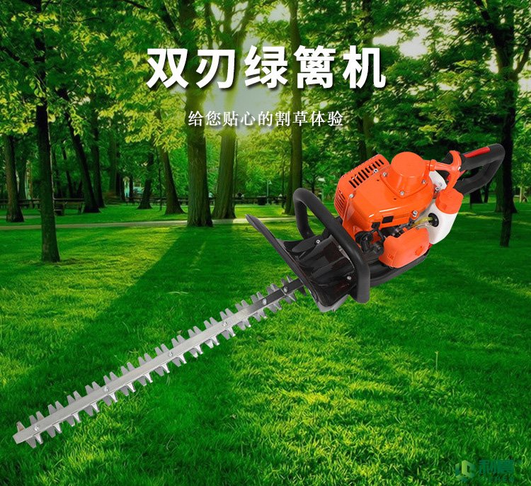 �p�����;G�h�C